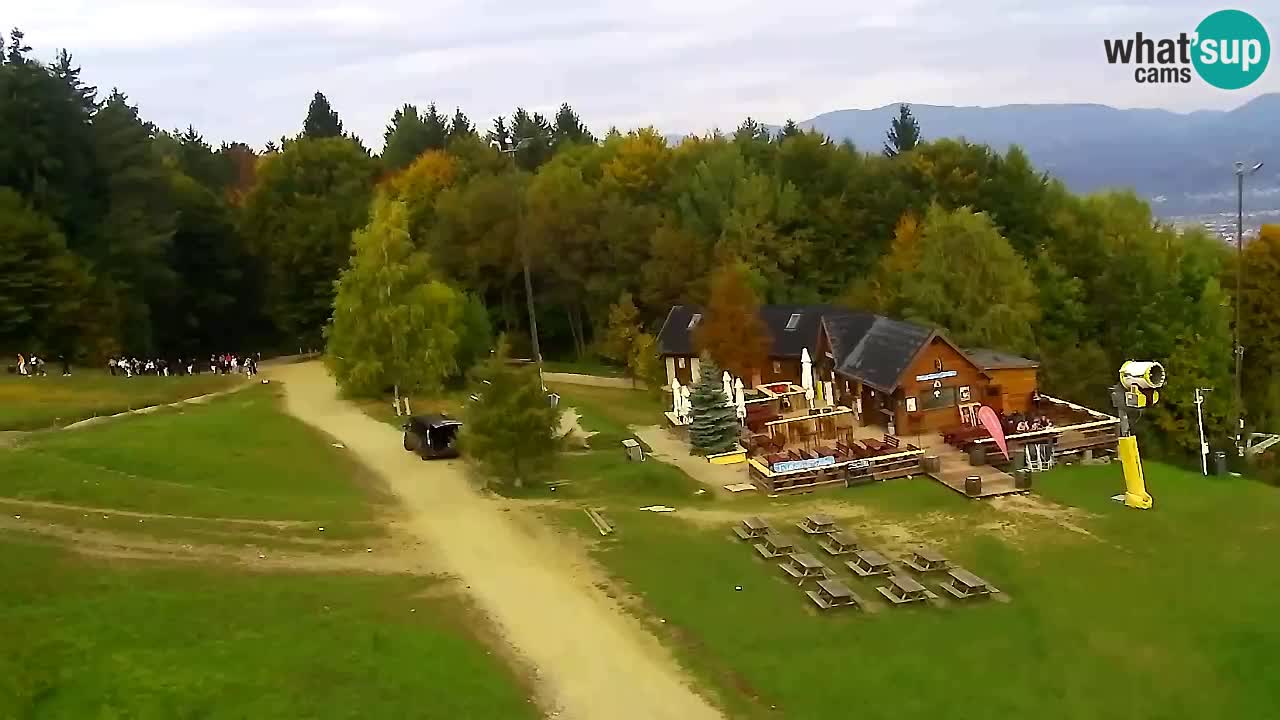 Webcam Pohorje Trikotna Jasa | Poštela
