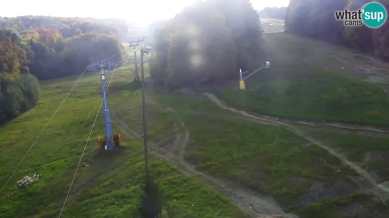 Webcam Pohorje Trikotna Jasa | Poštela