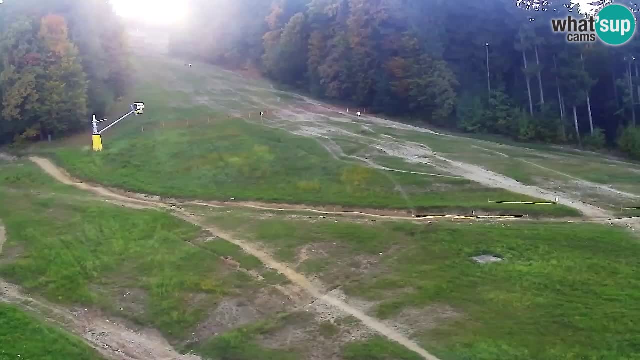 Web Camera Pohorje Trikotna Jasa | Poštela