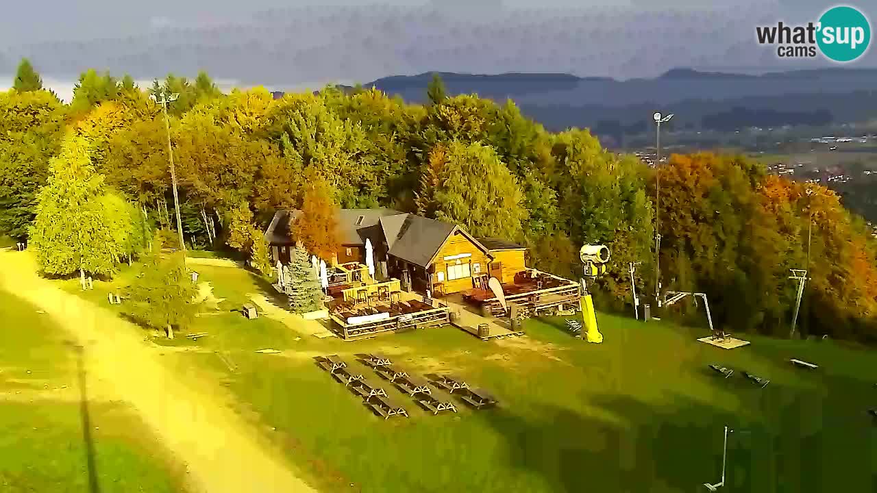 Spletna Kamera Pohorje Trikotna Jasa | Poštela
