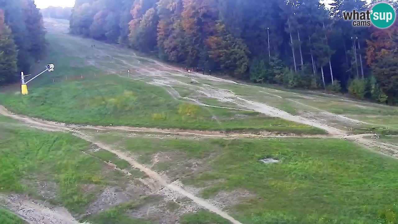 Web Camera Pohorje Trikotna Jasa | Poštela