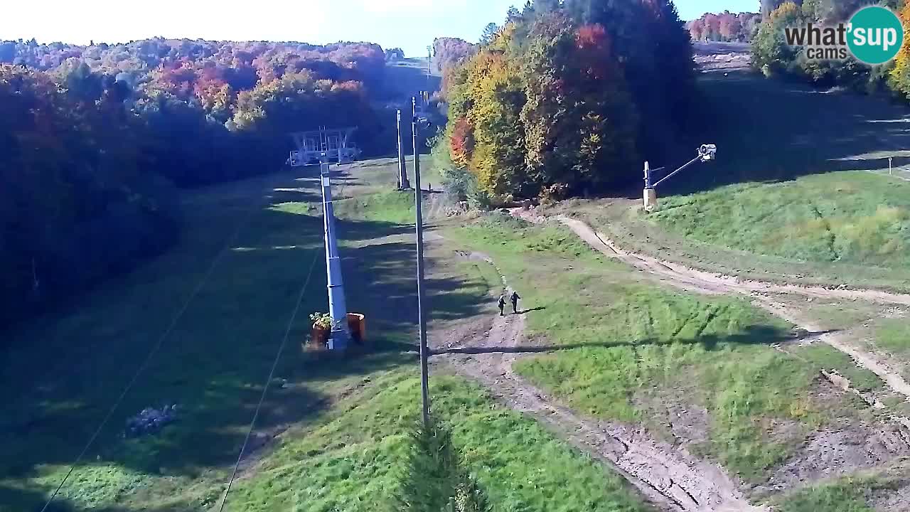 Webcam Pohorje Trikotna Jasa | Poštela