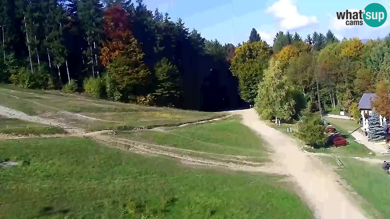 Webcam Pohorje Trikotna Jasa | Poštela