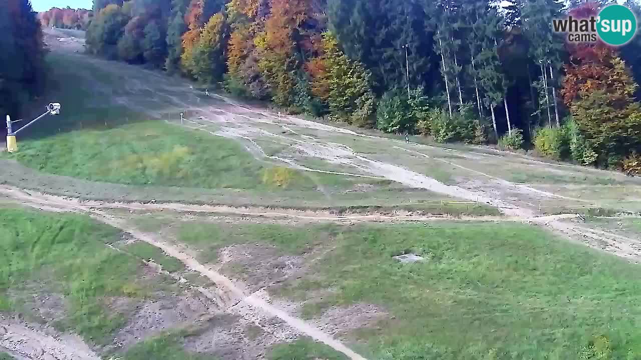 Webcam Pohorje Trikotna Jasa | Poštela