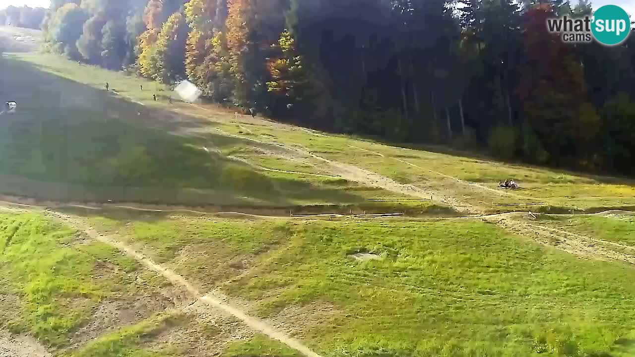 Webcam Pohorje Trikotna Jasa | Poštela