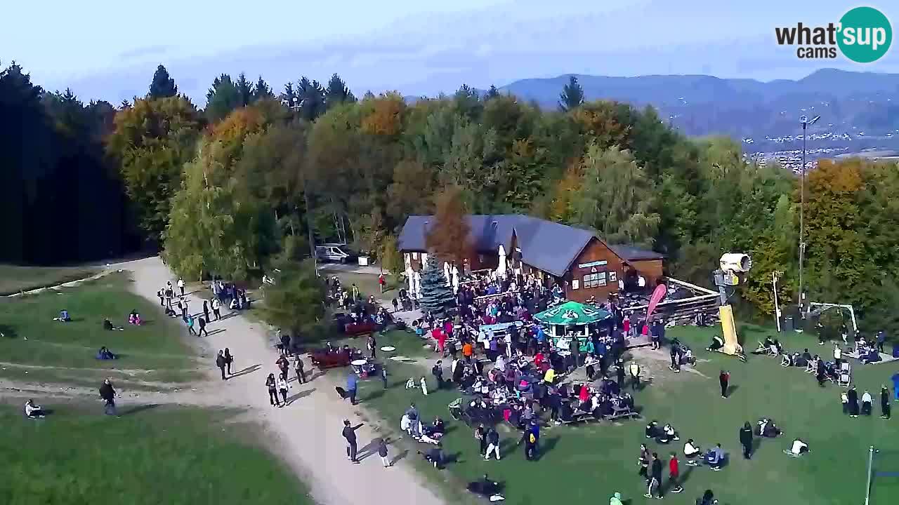 Webcam Pohorje Trikotna Jasa | Poštela