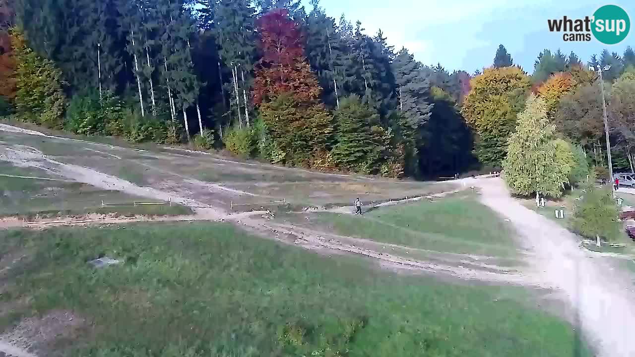 Web Camera Pohorje Trikotna Jasa | Poštela
