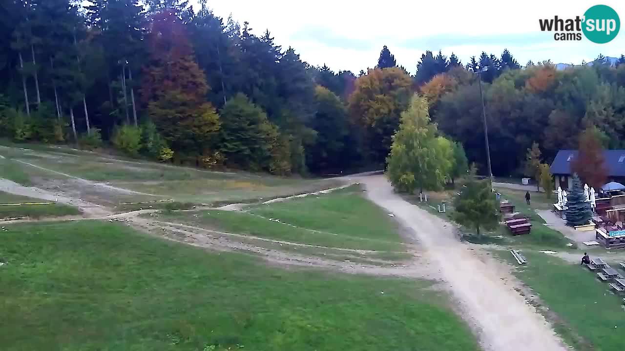 Webcam Pohorje Trikotna Jasa | Poštela