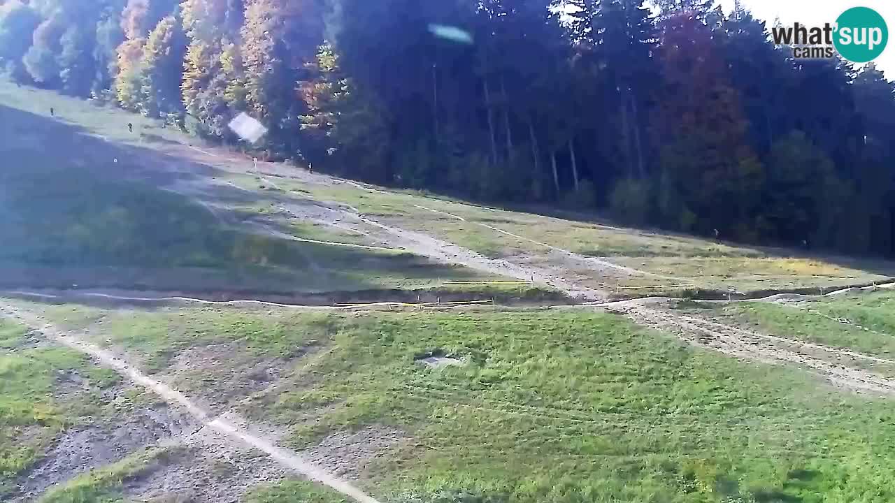 Webcam Pohorje Trikotna Jasa | Poštela