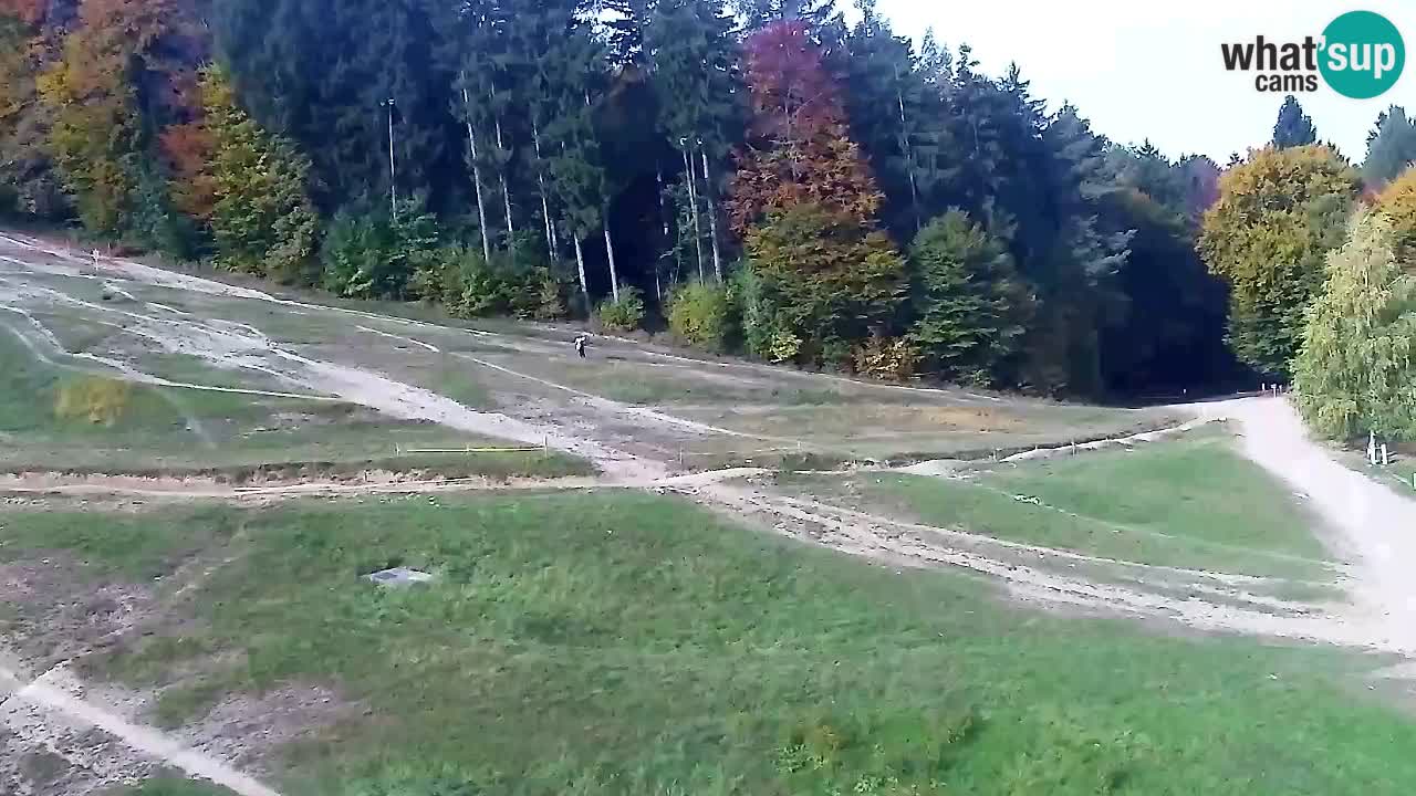 Webcam Pohorje Trikotna Jasa | Poštela