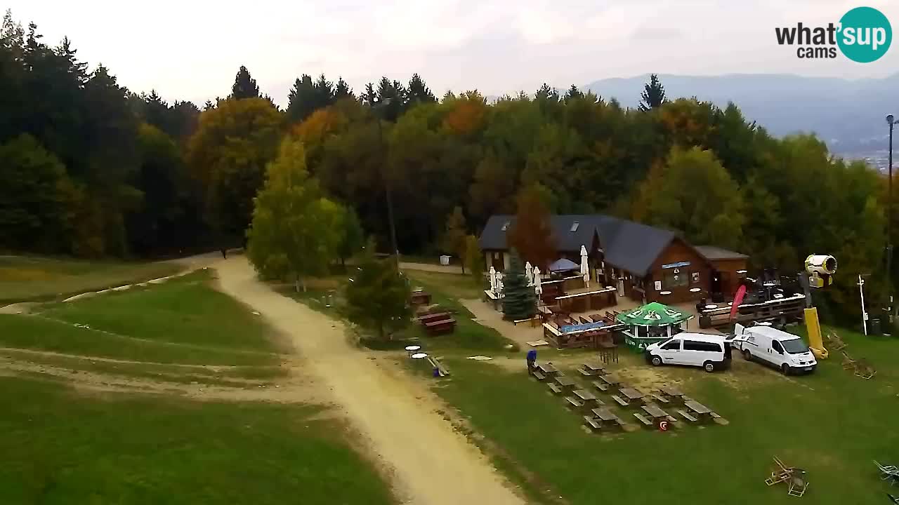 Webcam Pohorje Trikotna Jasa | Poštela