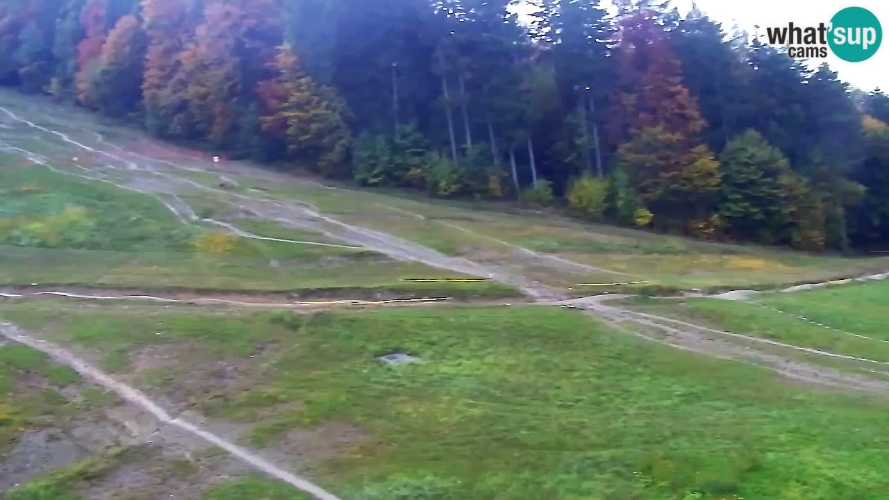Webcam Pohorje Trikotna Jasa | Poštela