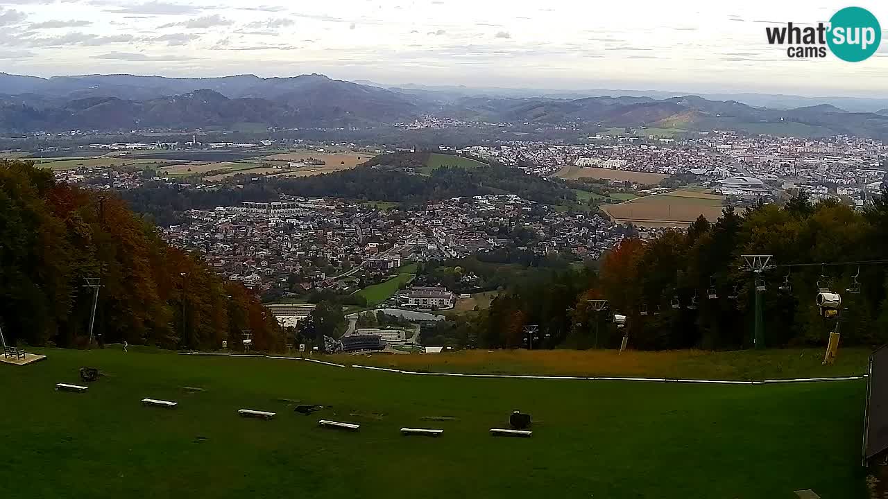 Webcam Pohorje Trikotna Jasa | Poštela