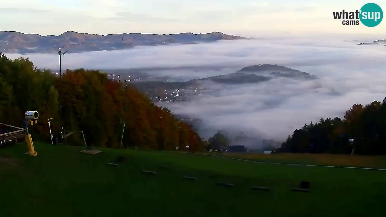 Webcam Pohorje Trikotna Jasa | Poštela