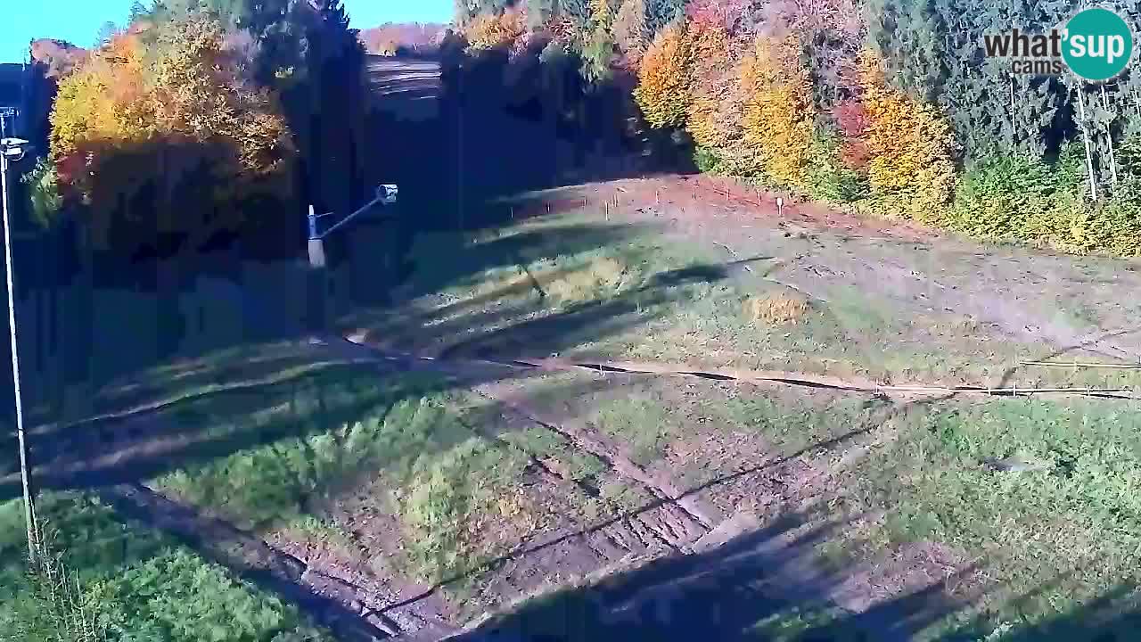 Webcam Pohorje Trikotna Jasa | Poštela