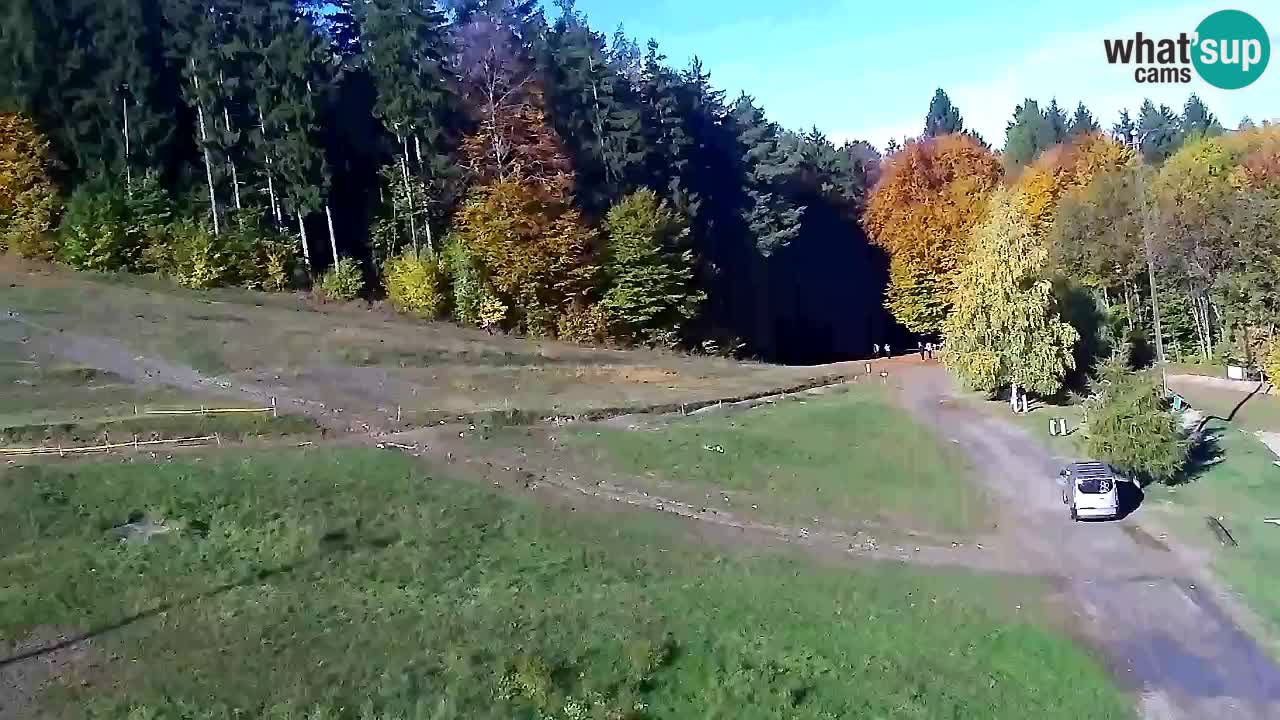Web Camera Pohorje Trikotna Jasa | Poštela