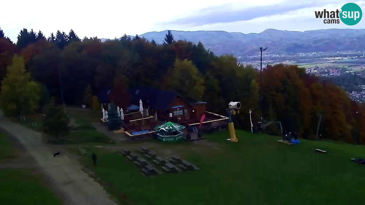 Webcam Pohorje Trikotna Jasa | Poštela