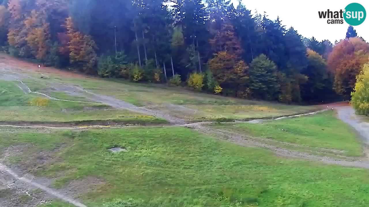 Webcam Pohorje Trikotna Jasa | Poštela
