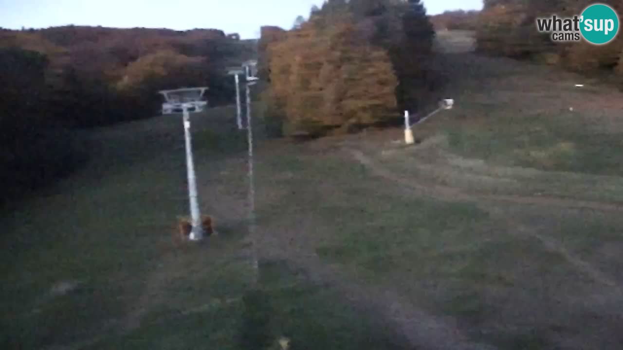 Web Camera Pohorje Trikotna Jasa | Poštela