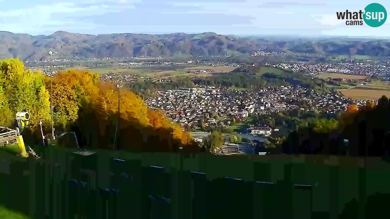 Webcam Pohorje Trikotna Jasa | Poštela