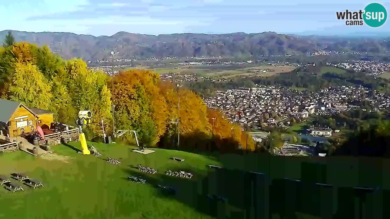 Webcam Pohorje Trikotna Jasa | Poštela
