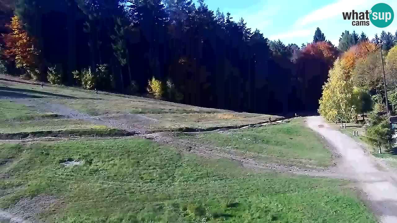 Webcam Pohorje Trikotna Jasa | Poštela
