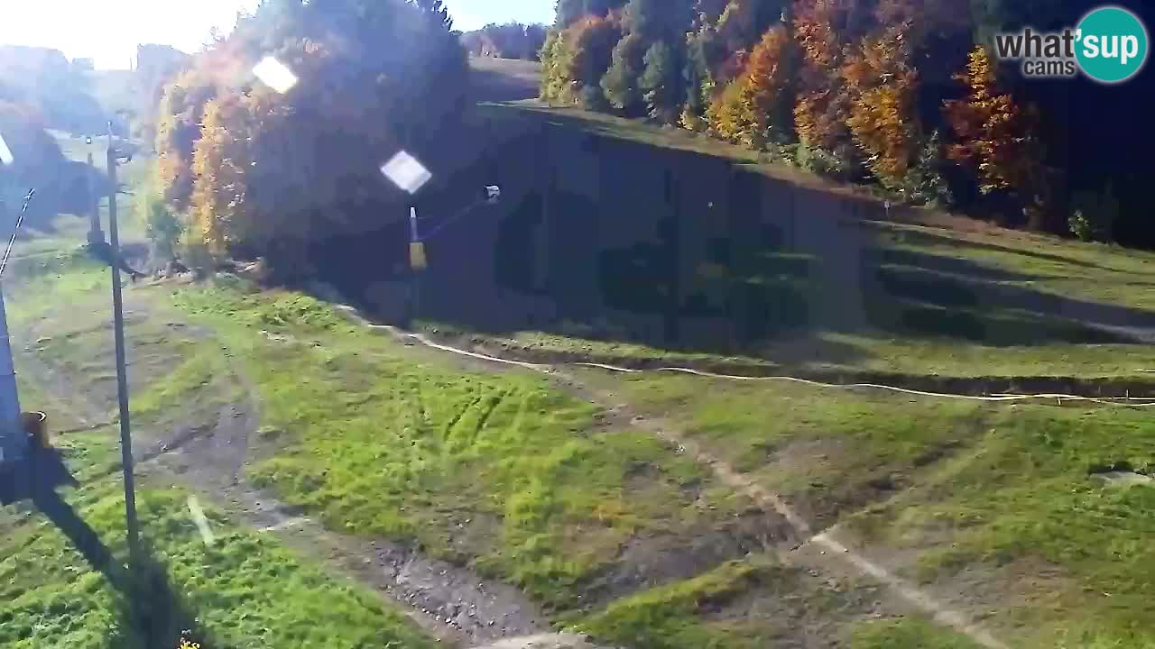 Webcam Pohorje Trikotna Jasa | Poštela