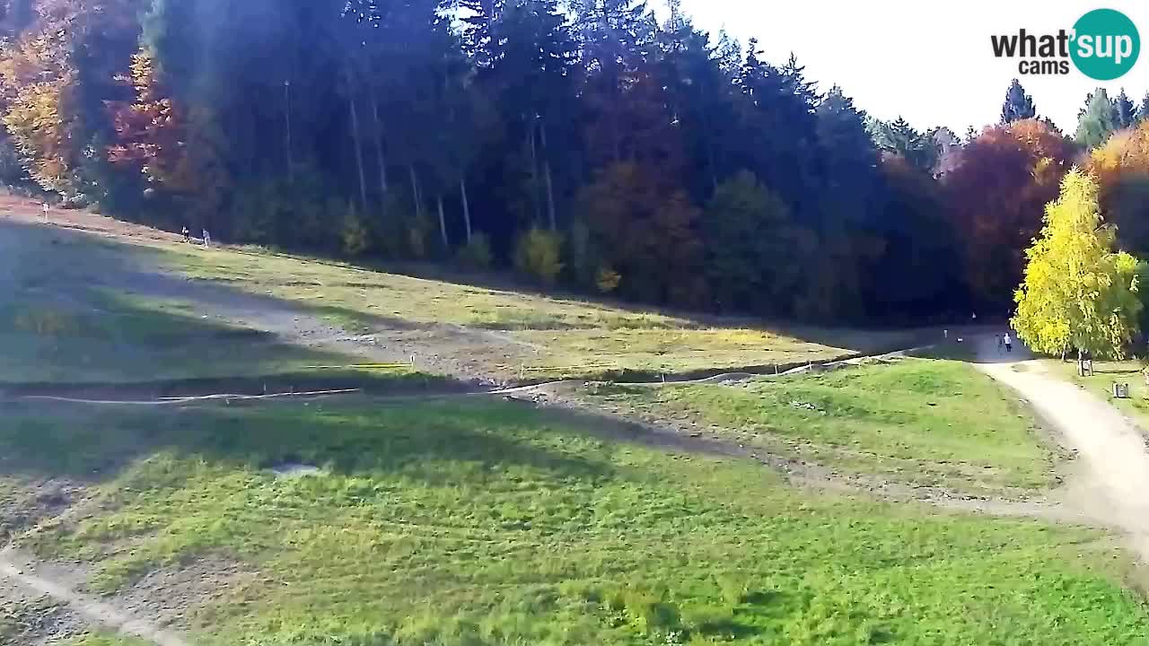 Web Camera Pohorje Trikotna Jasa | Poštela