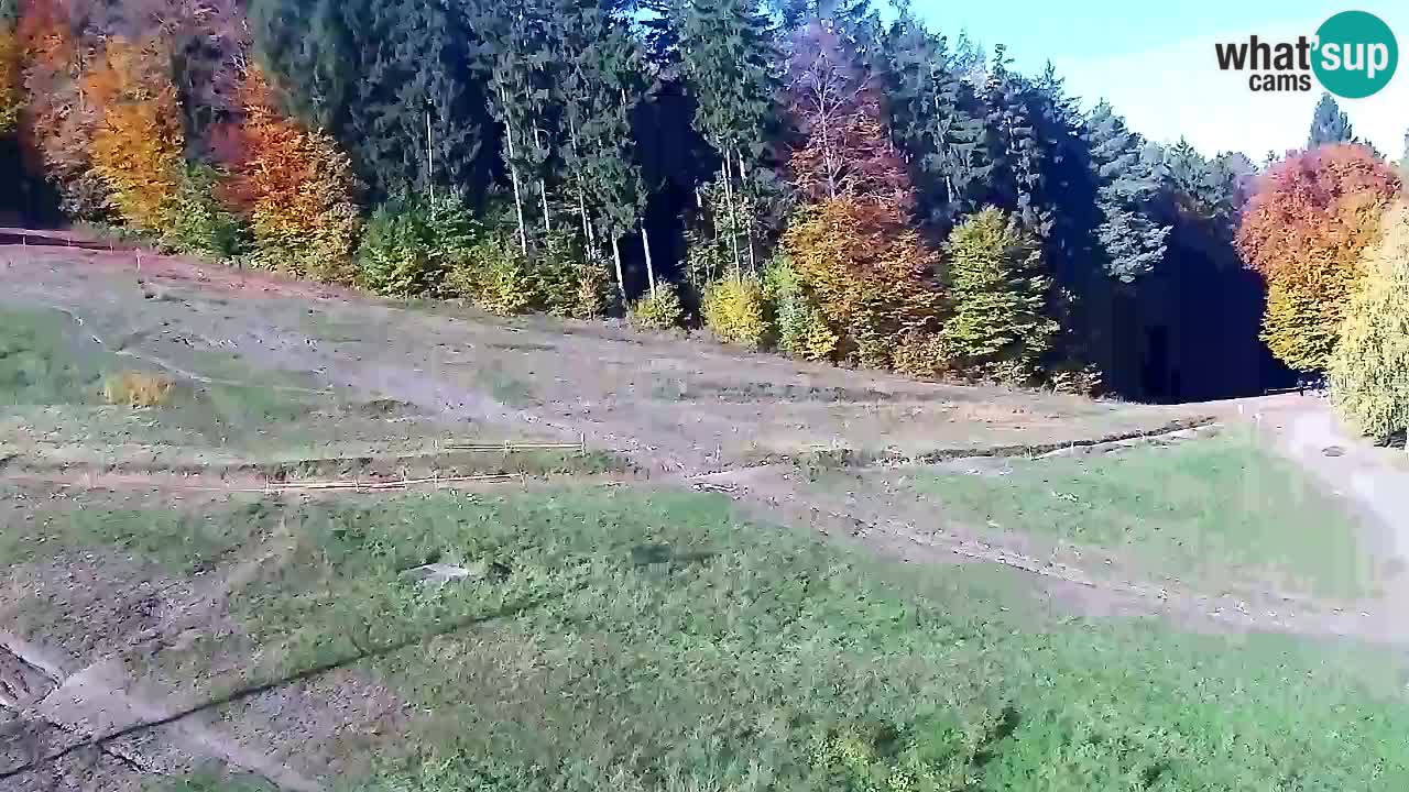Webcam Pohorje Trikotna Jasa | Poštela