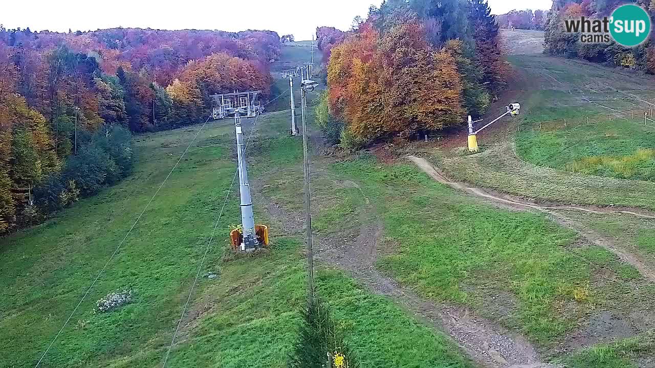 Webcam Pohorje Trikotna Jasa | Poštela