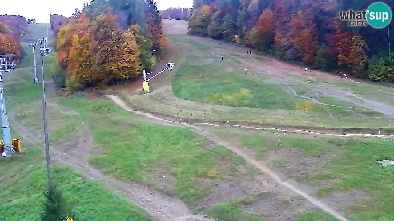 Webcam Pohorje Trikotna Jasa | Poštela