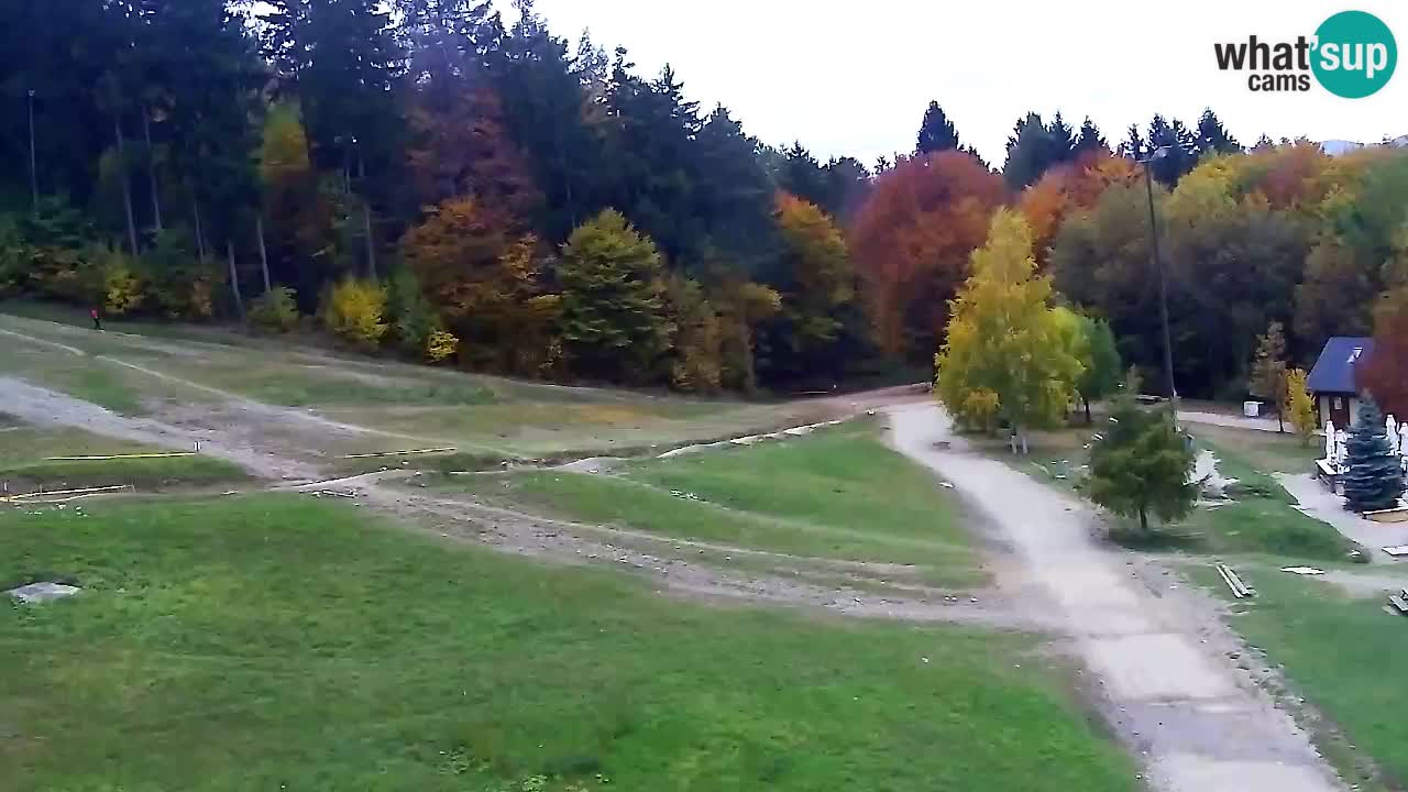 Webcam Pohorje Trikotna Jasa | Poštela