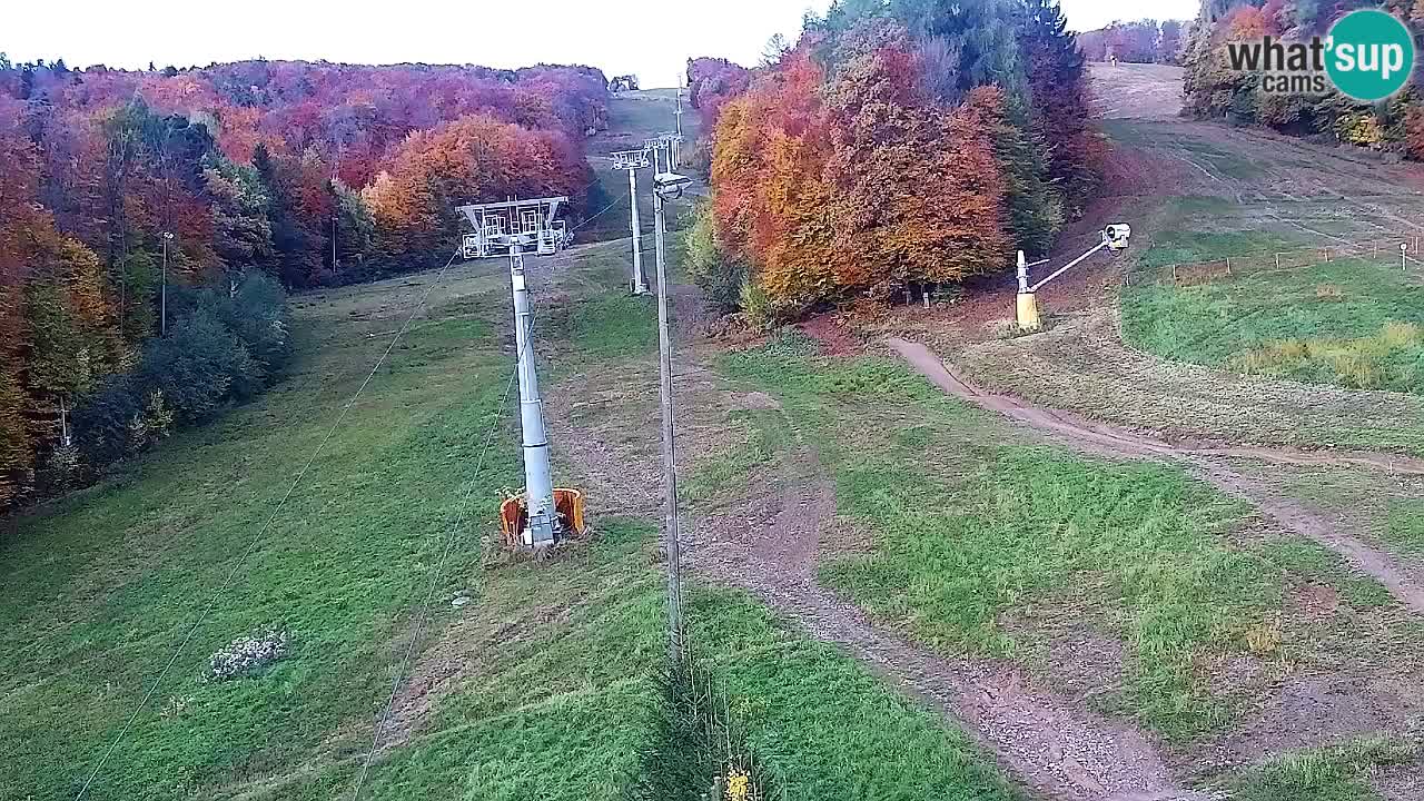 Webcam Pohorje Trikotna Jasa | Poštela