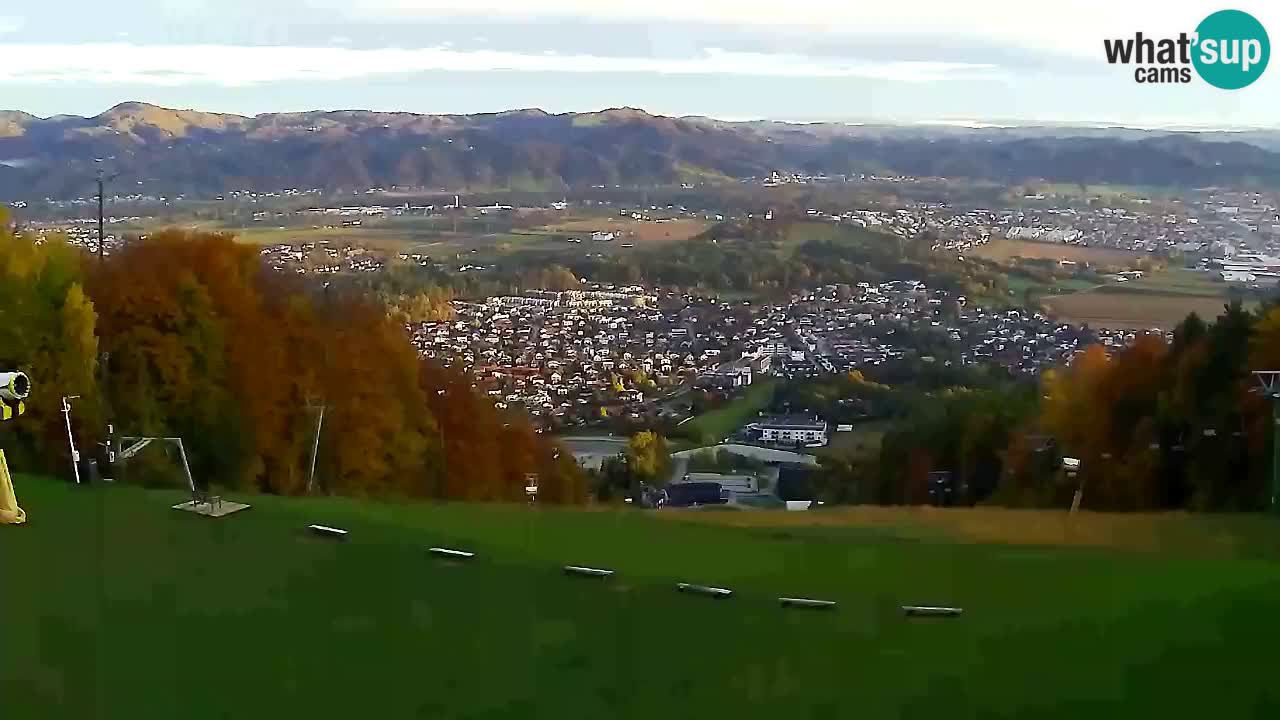 Webcam Pohorje Trikotna Jasa | Poštela
