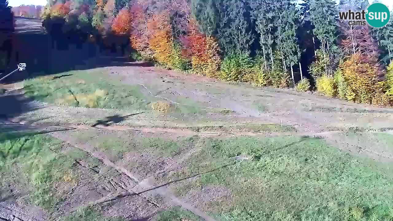 Webcam Pohorje Trikotna Jasa | Poštela