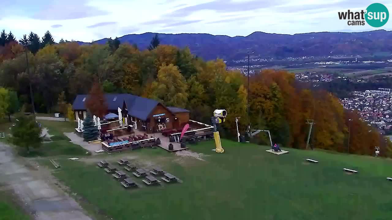 Webcam Pohorje Trikotna Jasa | Poštela