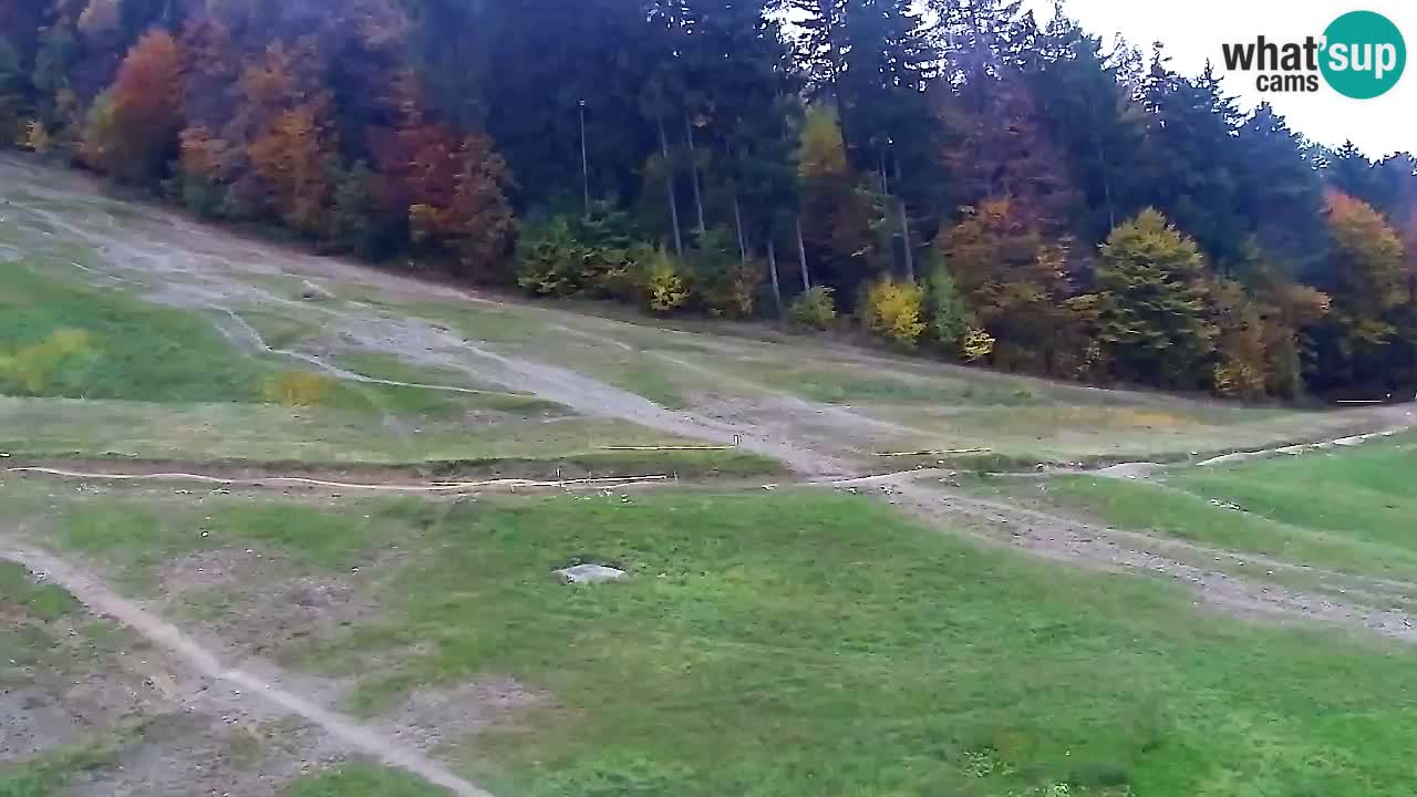 Web Camera Pohorje Trikotna Jasa | Poštela