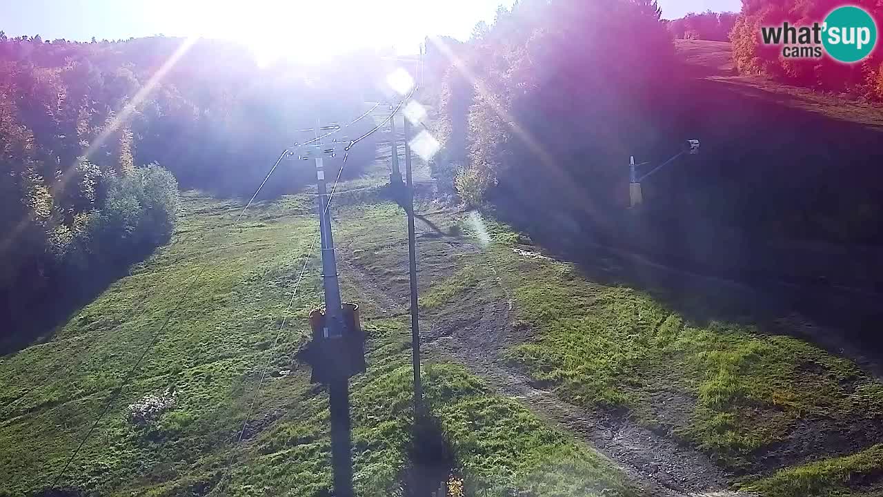 Web Camera Pohorje Trikotna Jasa | Poštela