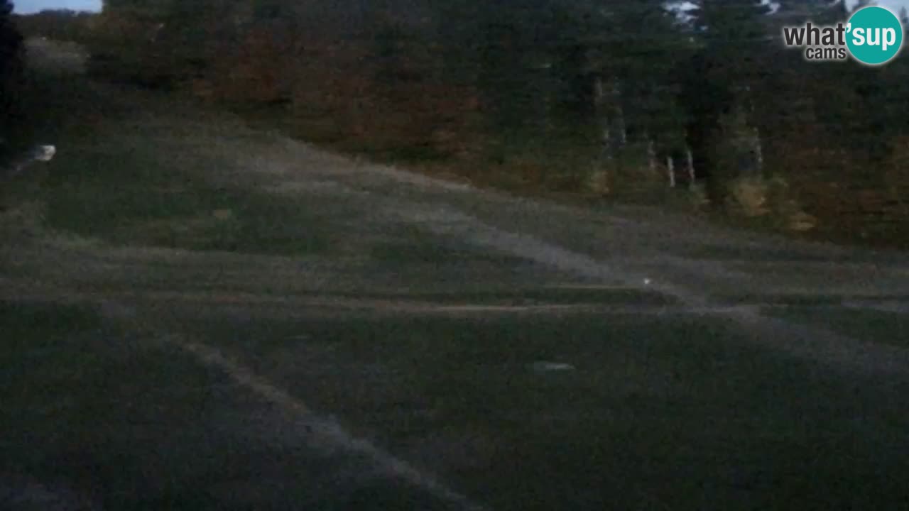 Webcam Pohorje Trikotna Jasa | Poštela