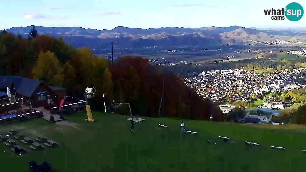Webcam Pohorje Trikotna Jasa | Poštela