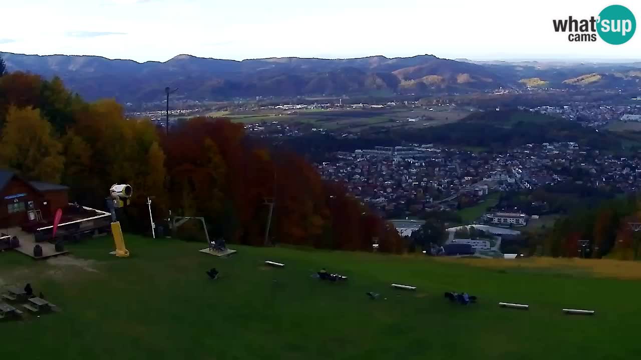 Webcam Pohorje Trikotna Jasa | Poštela