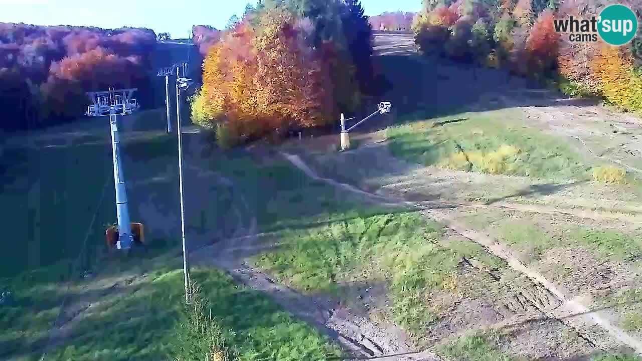 Web Camera Pohorje Trikotna Jasa | Poštela