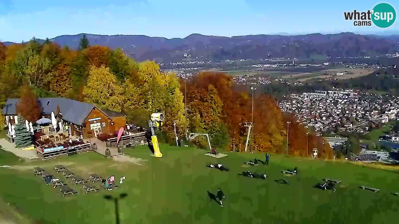 Webcam Pohorje Trikotna Jasa | Poštela