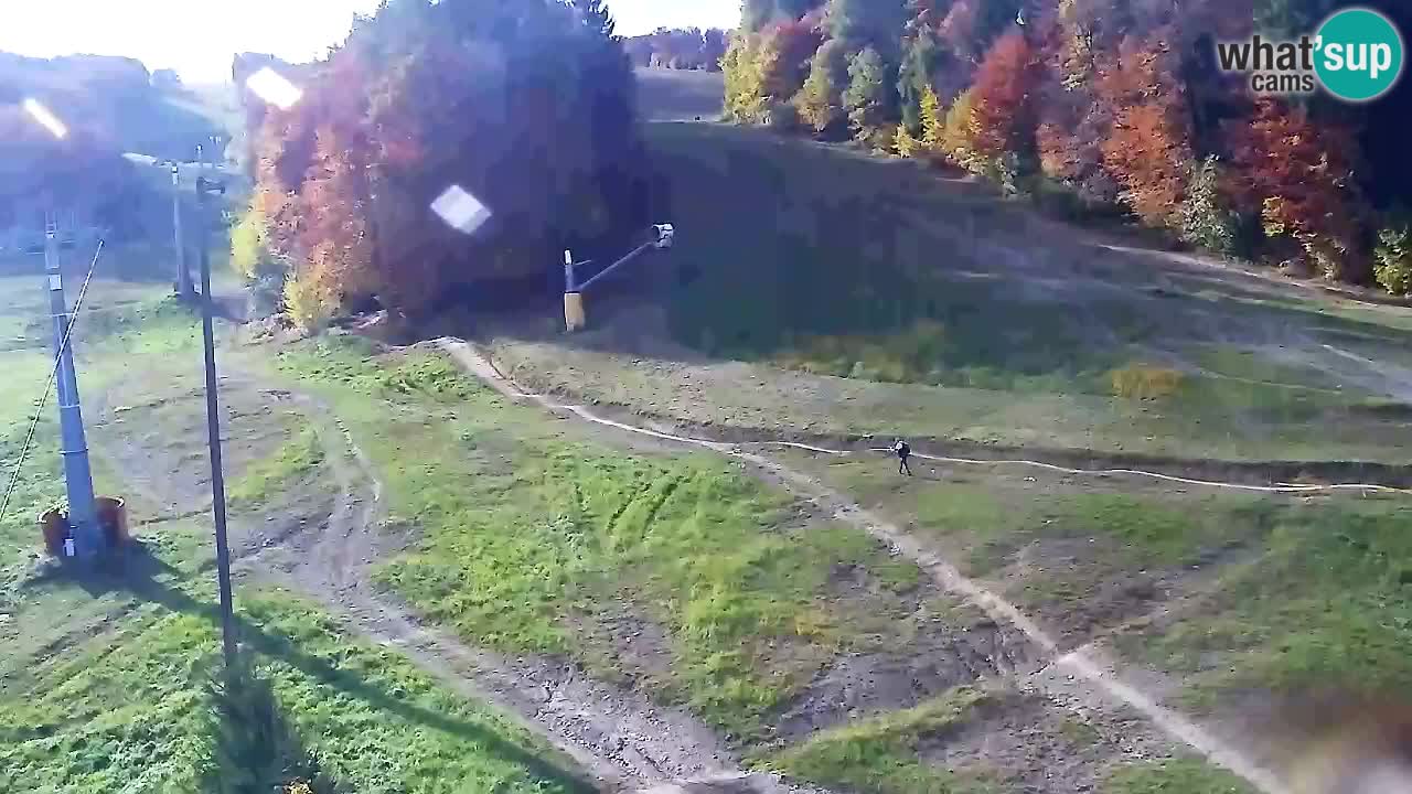 Webcam Pohorje Trikotna Jasa | Poštela