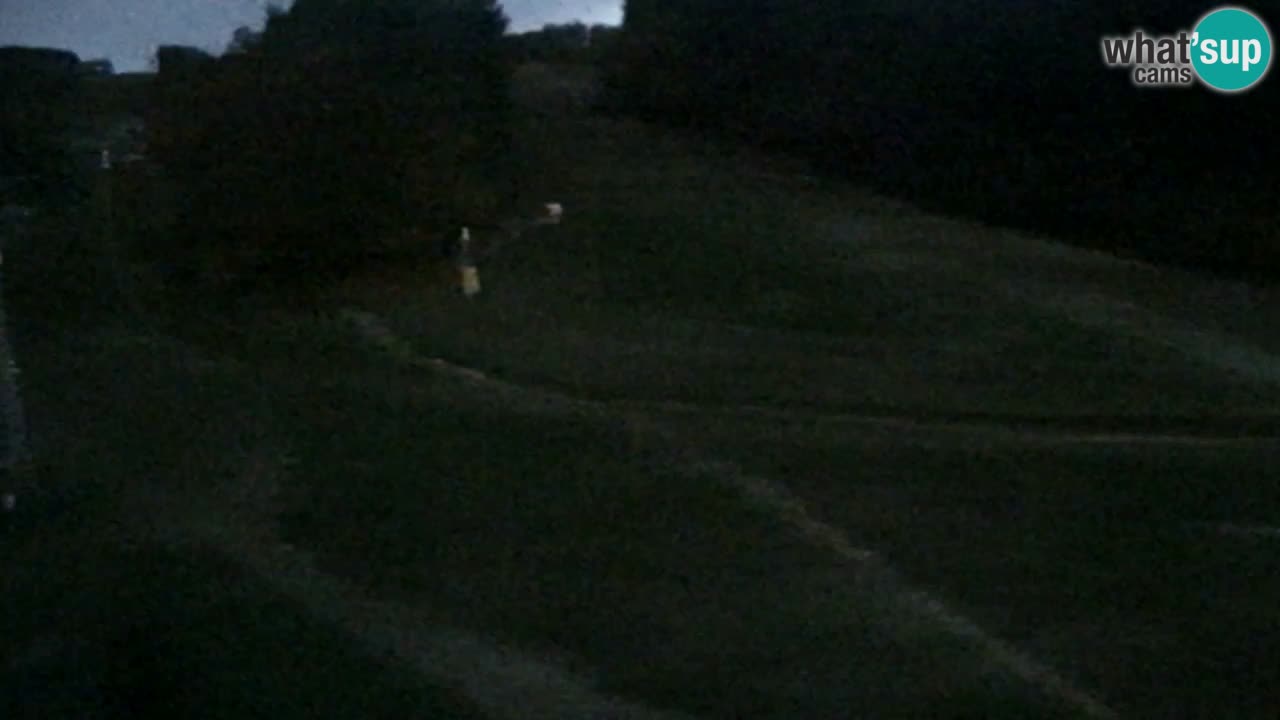 Webcam Pohorje Trikotna Jasa | Poštela