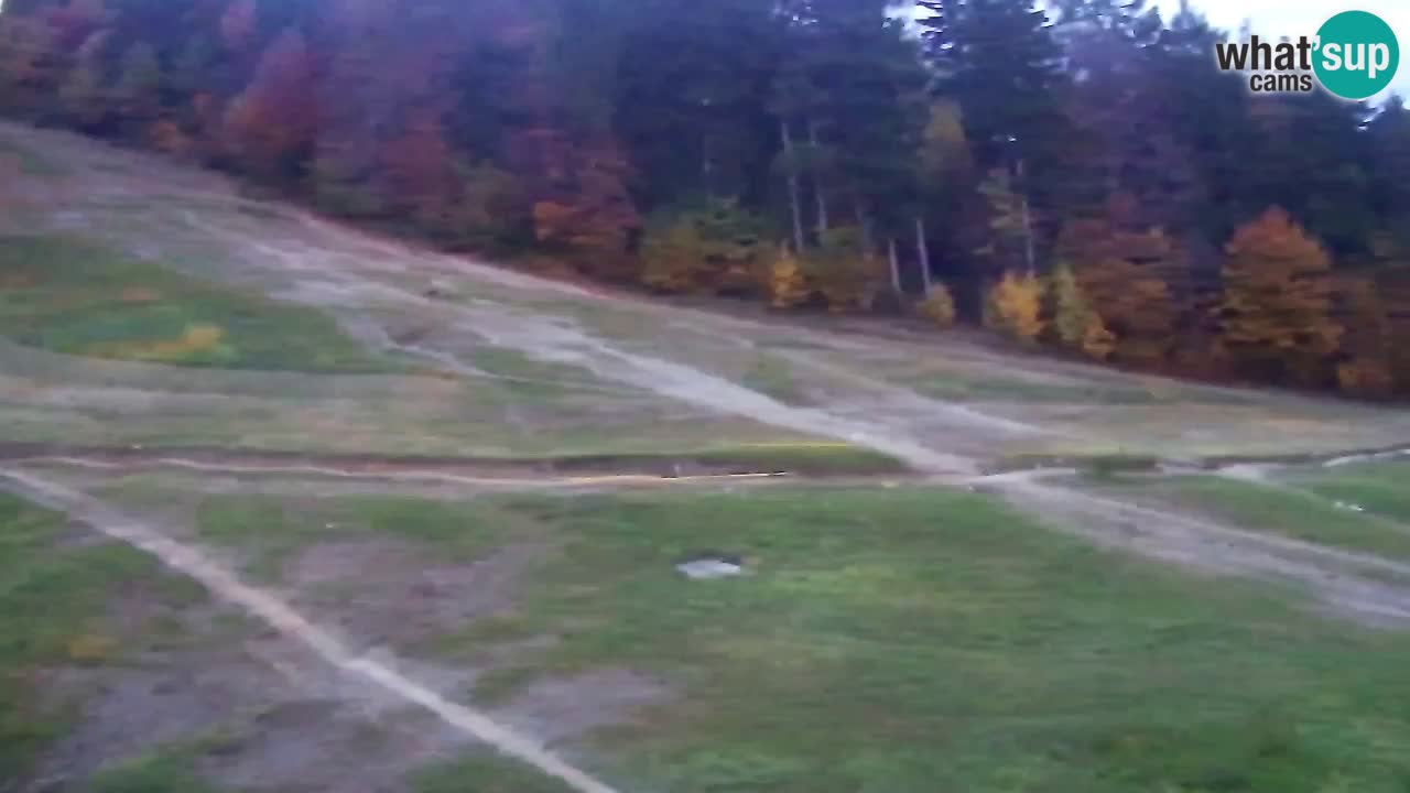 Webcam Pohorje Trikotna Jasa | Poštela