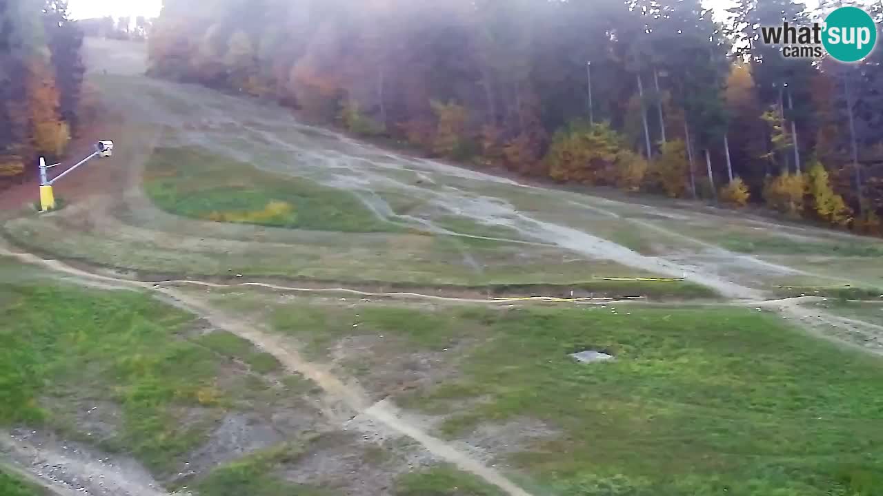 Webcam Pohorje Trikotna Jasa | Poštela