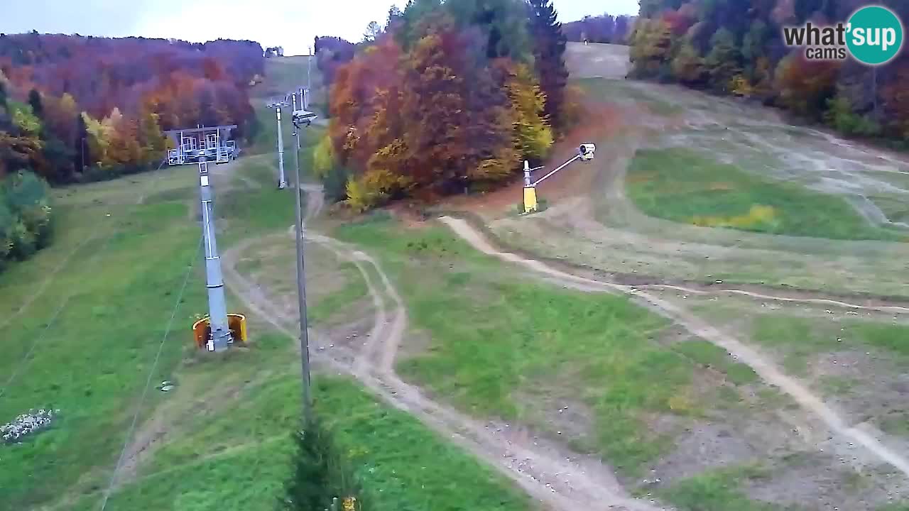 Webcam Pohorje Trikotna Jasa | Poštela