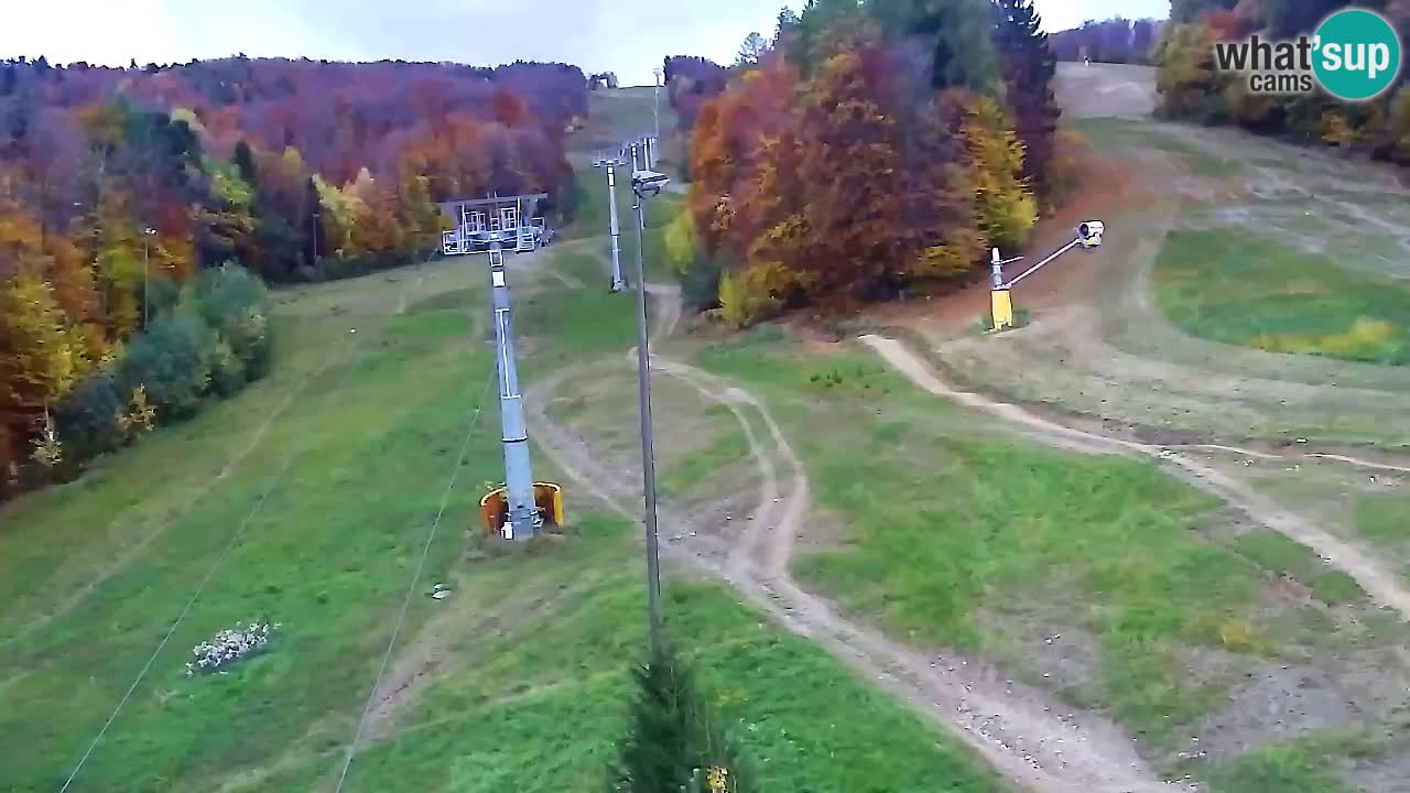 Webcam Pohorje Trikotna Jasa | Poštela
