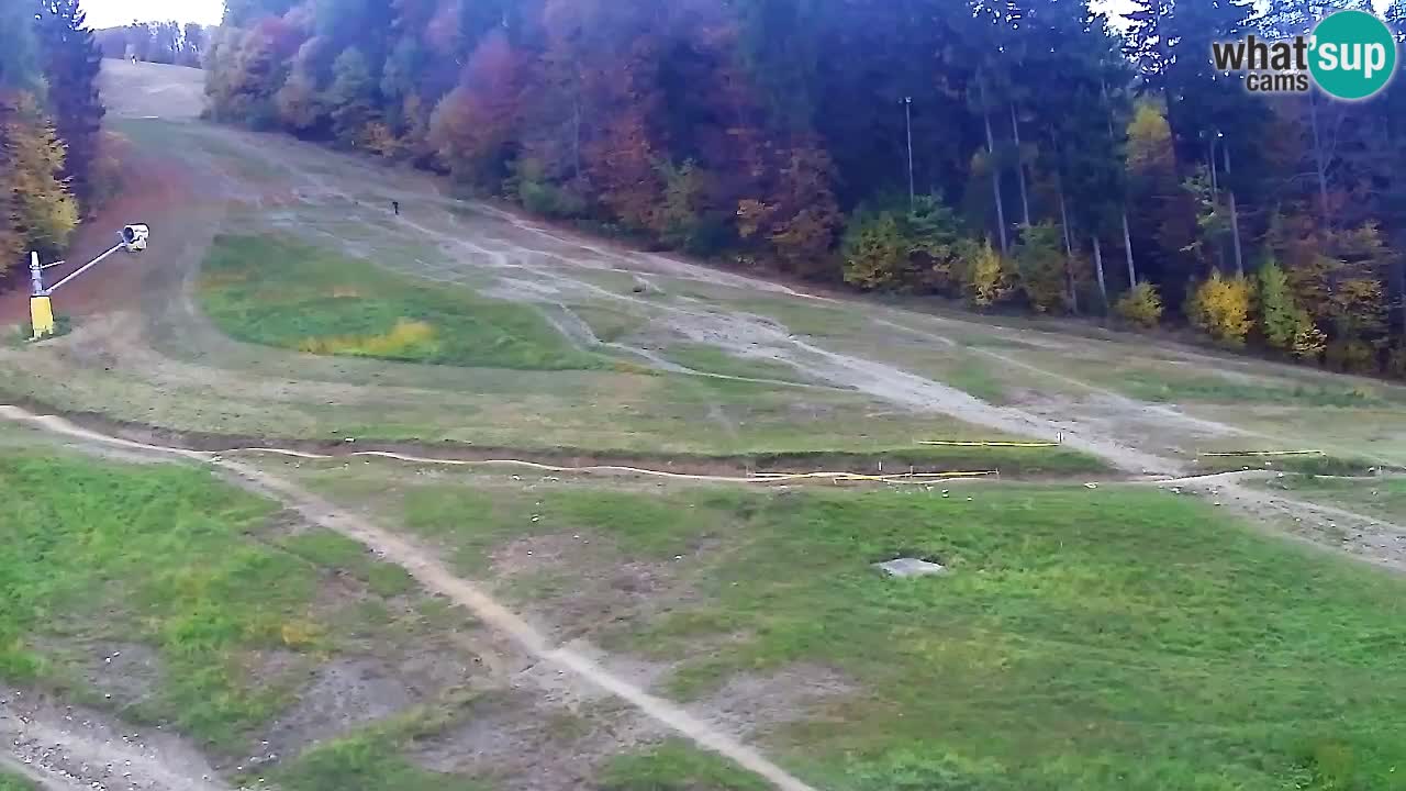 Webcam Pohorje Trikotna Jasa | Poštela